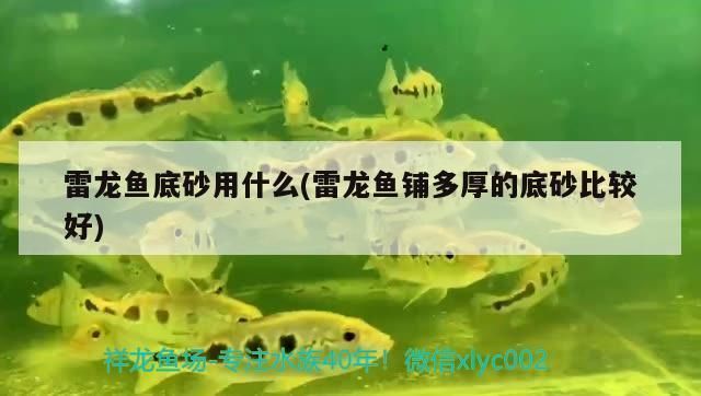焦作魚缸批發市場：焦作二手魚缸批發市場