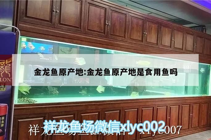 金龍魚原產地:金龍魚原產地是食用魚嗎
