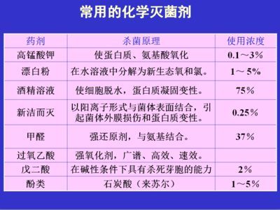 20公分龍魚一天喂幾次：20公分的龍魚應該怎么喂養？