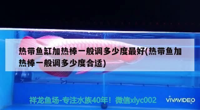 熱帶魚缸加熱棒一般調多少度最好(熱帶魚加熱棒一般調多少度合適)