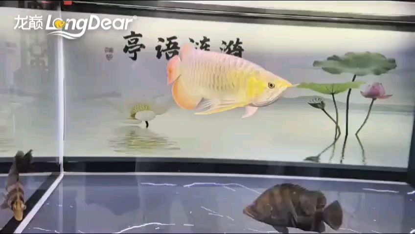 轉發962