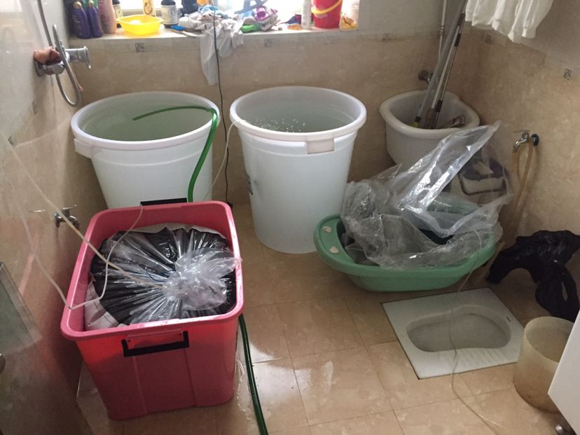 福州觀賞魚市場挪動大魚缸