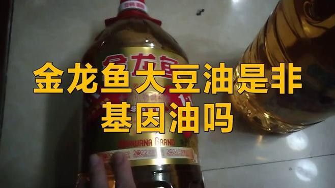 金龍魚和九三哪個好