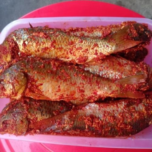 貴州腌魚黎平特產 觀賞魚百科 第6張 貴州腌魚黎平特產 貴州腌魚黎平特產 觀賞魚百科 第6張