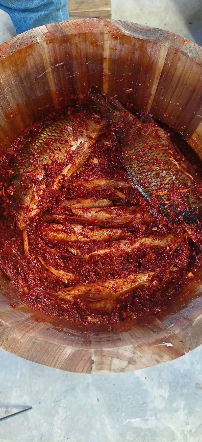 貴州腌魚黎平特產 觀賞魚百科 第1張 貴州腌魚黎平特產 貴州腌魚黎平特產 觀賞魚百科 第1張