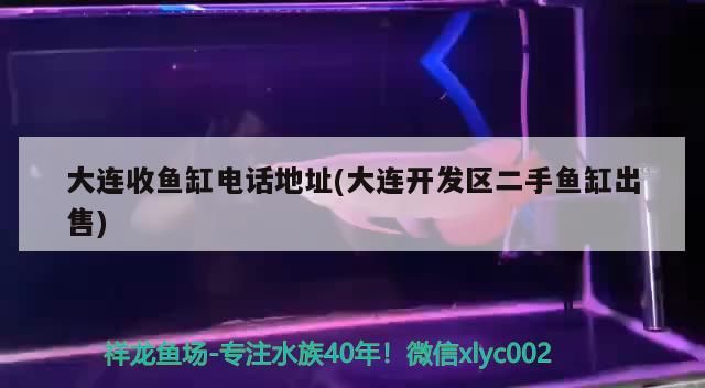 大連收魚缸電話地址(大連開發區二手魚缸出售)