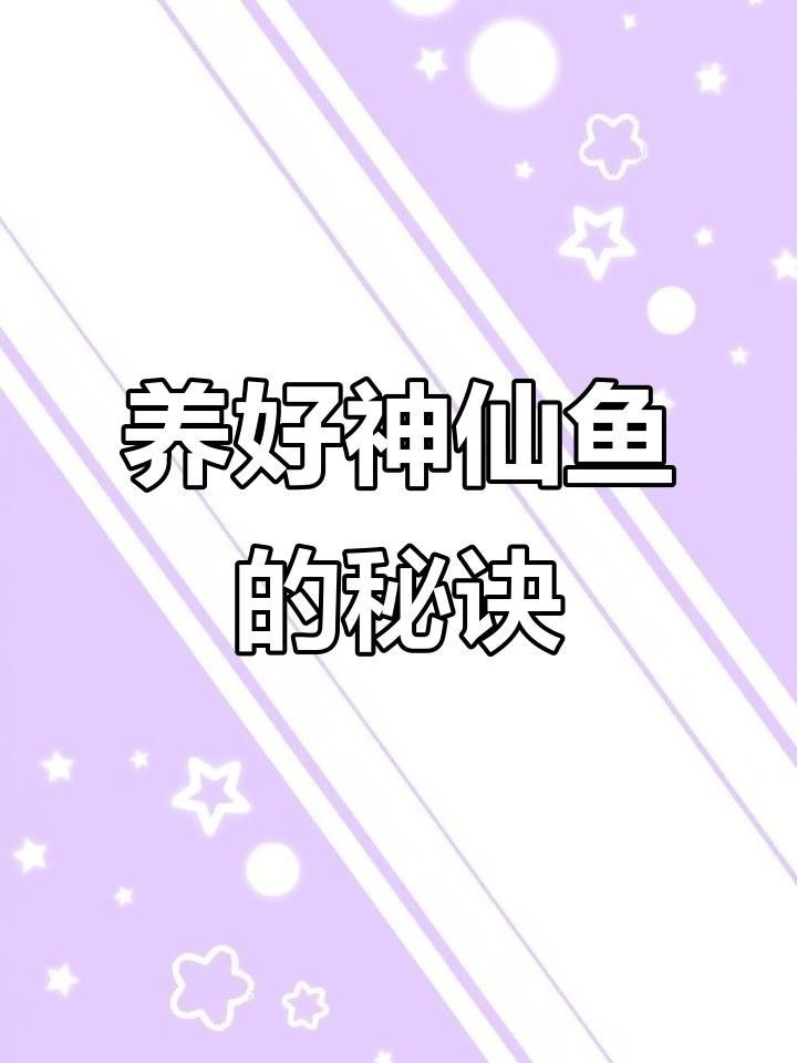 五顏六色的小魚是什么魚
