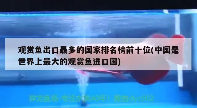 觀賞魚出口最多的國家排名榜前十位(中國是世界上最大的觀賞魚進口國)