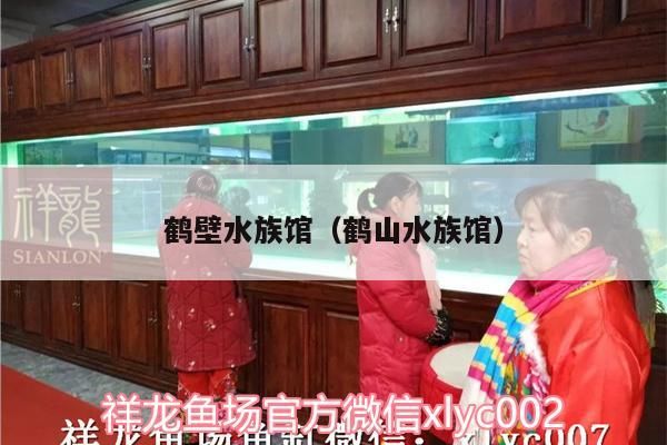 鶴壁水族館（鶴山水族館） 鶴壁水族館（鶴山水族館） 觀賞魚百科