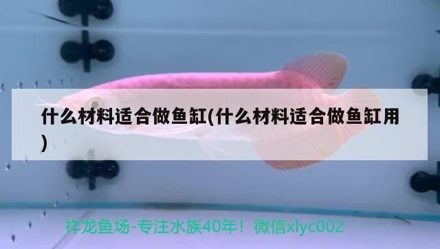 包含北京魚(yú)缸清理北京清江水族熱線的詞條