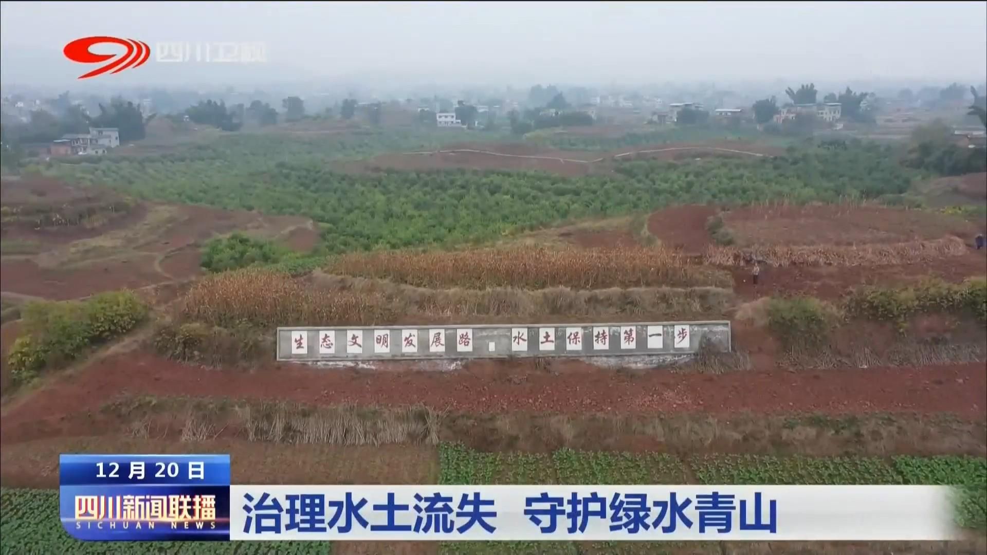 龍魚飼養(yǎng)綠水處理:養(yǎng)魚什么樣的水質最好