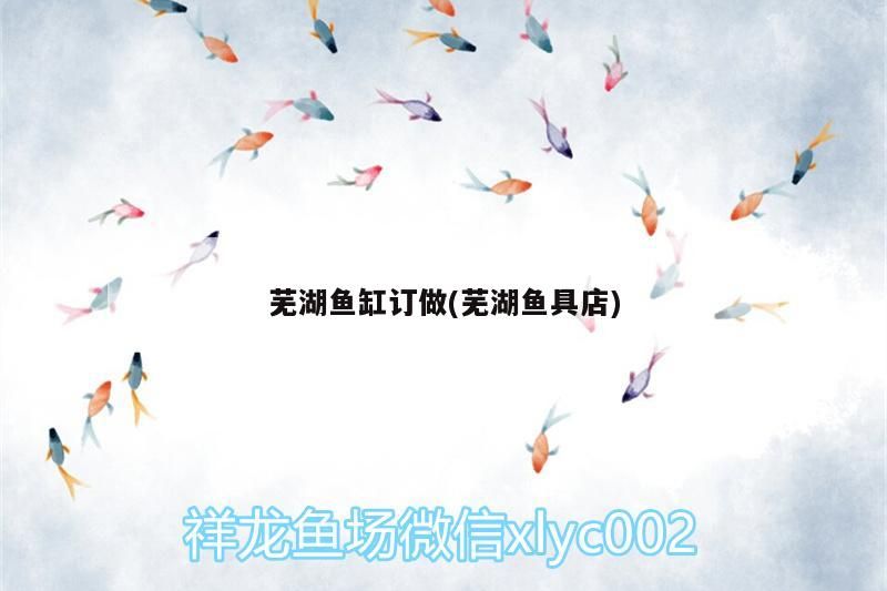 蕪湖魚缸訂做(蕪湖魚具店)