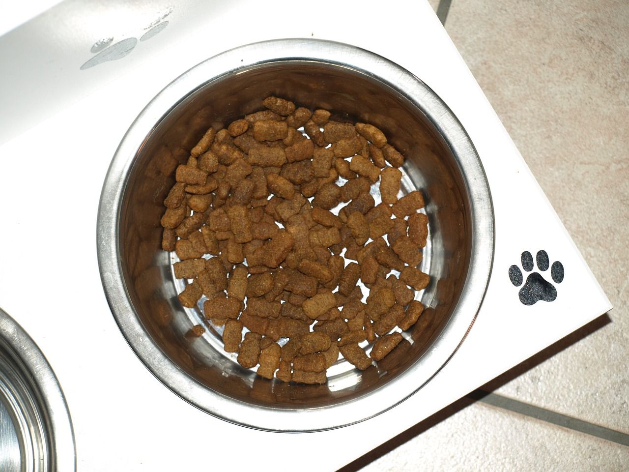 龍魚吃啥飼料最好（龍魚吃啥飼料最好吃）