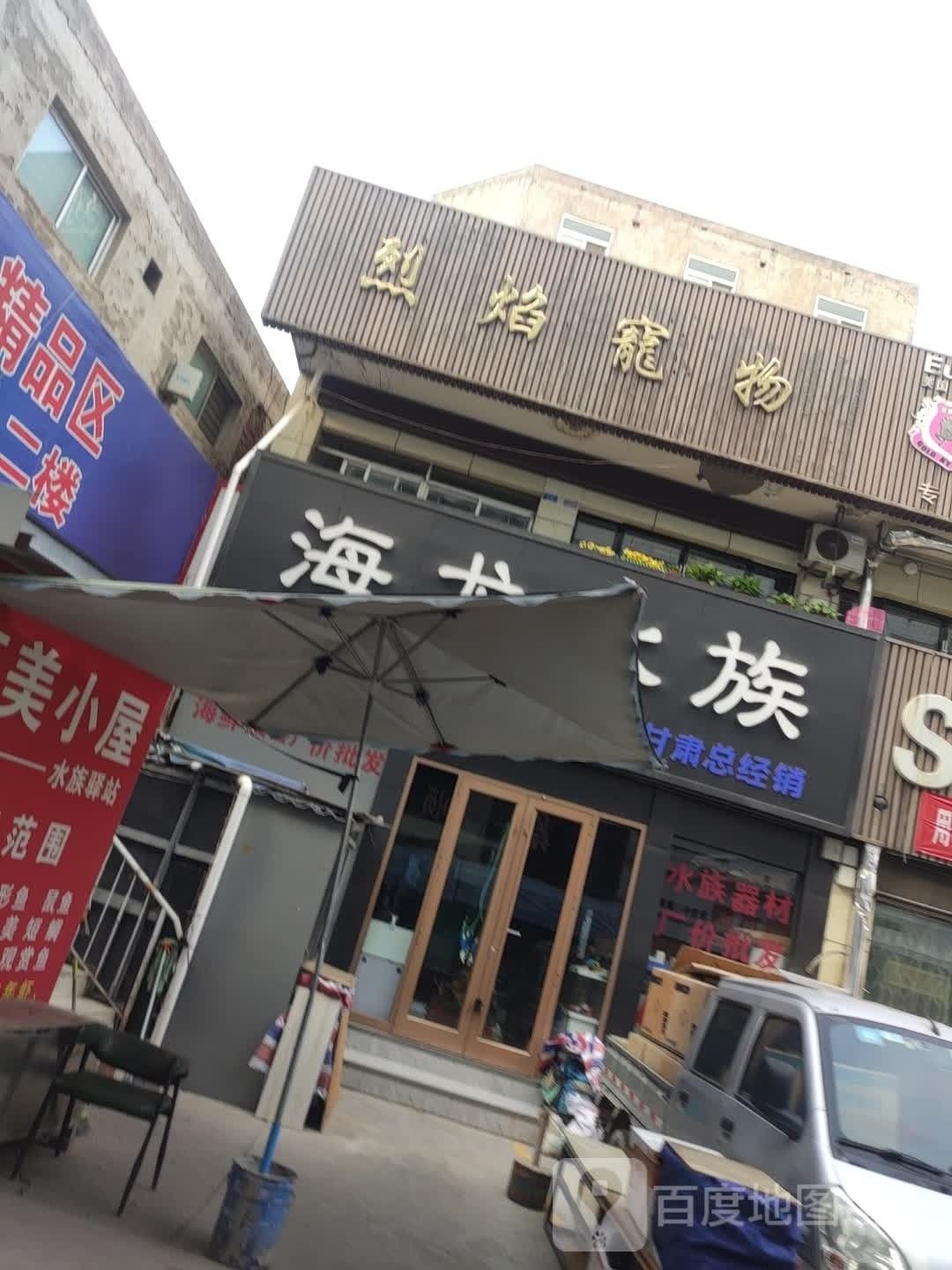 蘭州紅龍魚