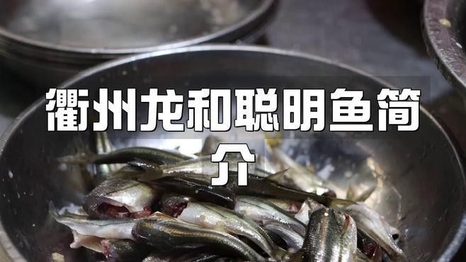 龍和聰明魚