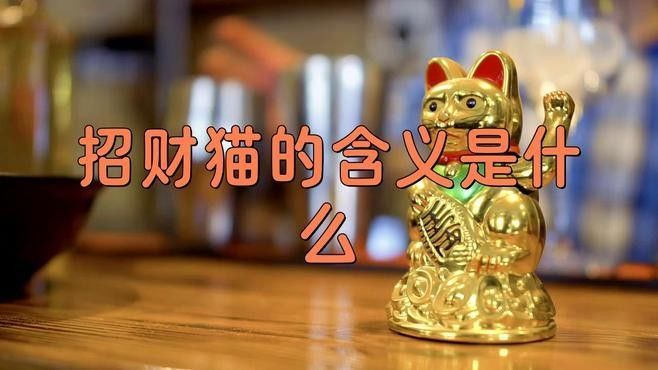 鴨嘴鯊好還是招財貓好