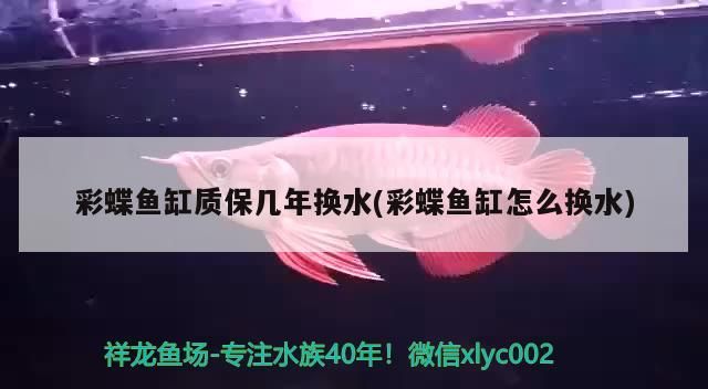 彩蝶魚缸質(zhì)保幾年換水(彩蝶魚缸怎么換水)