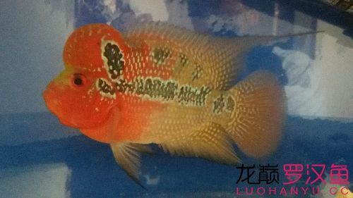 小清新到家報個到
