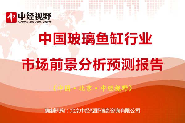 龍魚批發(fā)市場在哪里進貨便宜（龍魚批發(fā)市場在哪里進貨便宜點）