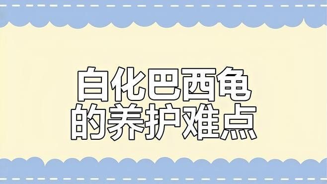 白化巴西龜能活多久