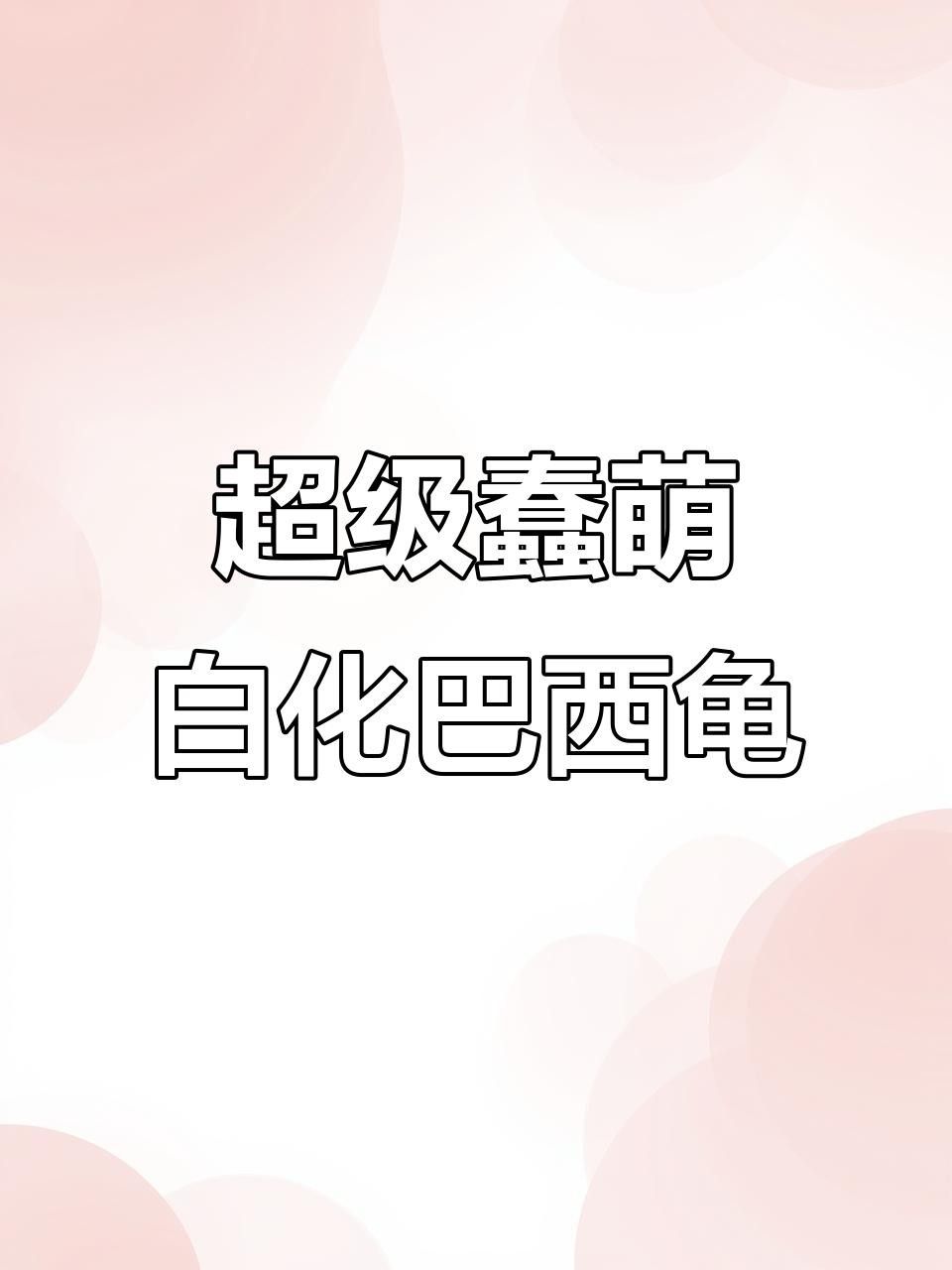 白化巴西龜能活多久