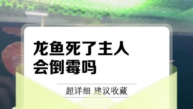 龍魚死掉有什么說(shuō)法么