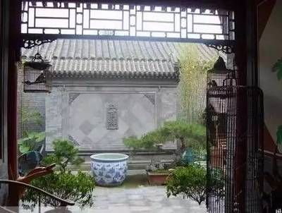 龍魚翹嘴圖片欣賞視頻（龍魚翹嘴圖片欣賞視頻大全）