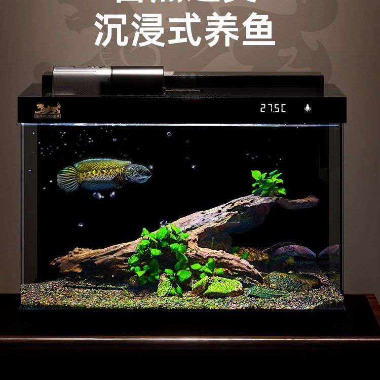 森森魚缸好嗎 森森魚缸好嗎 觀賞魚百科 第8張