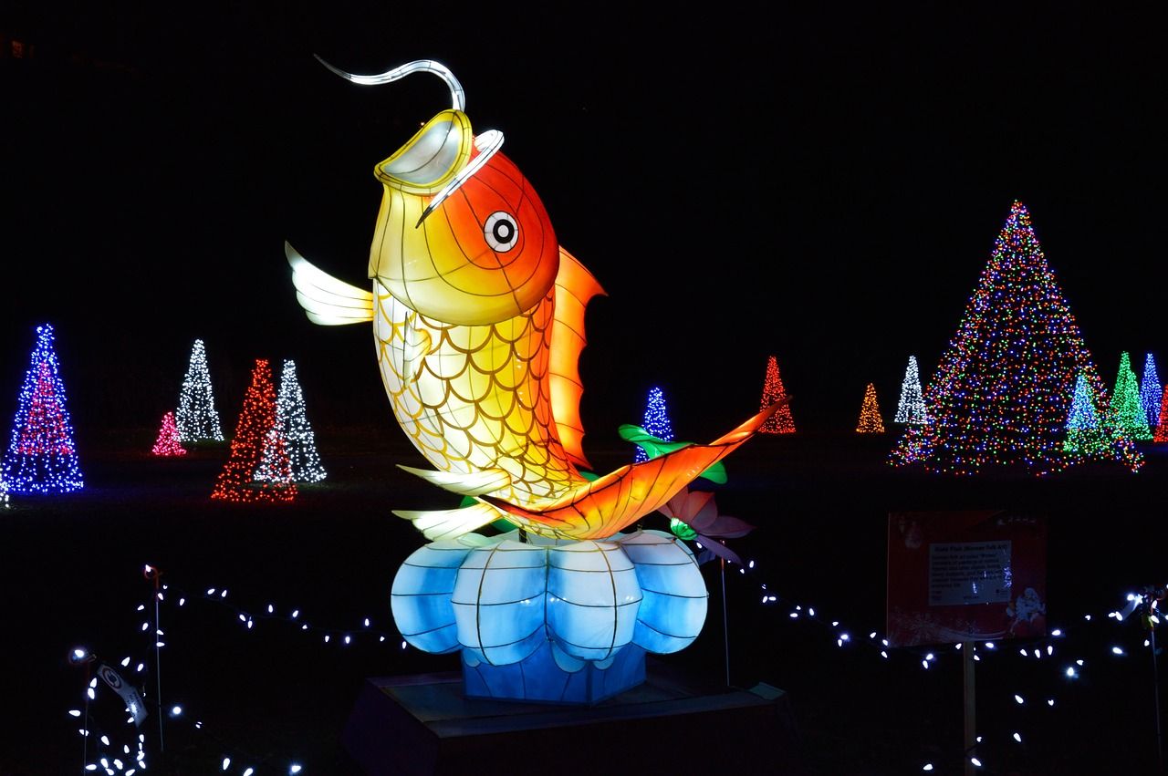 古典藍龍魚用什么燈好看又漂亮圖片（極品古典藍金龍魚多少錢一條）