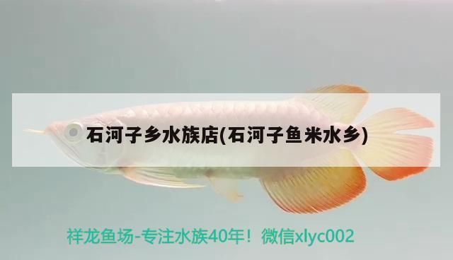 石河子鄉水族店(石河子魚米水鄉)