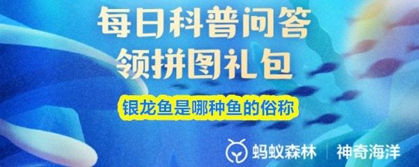 銀龍魚是那種魚的俗稱