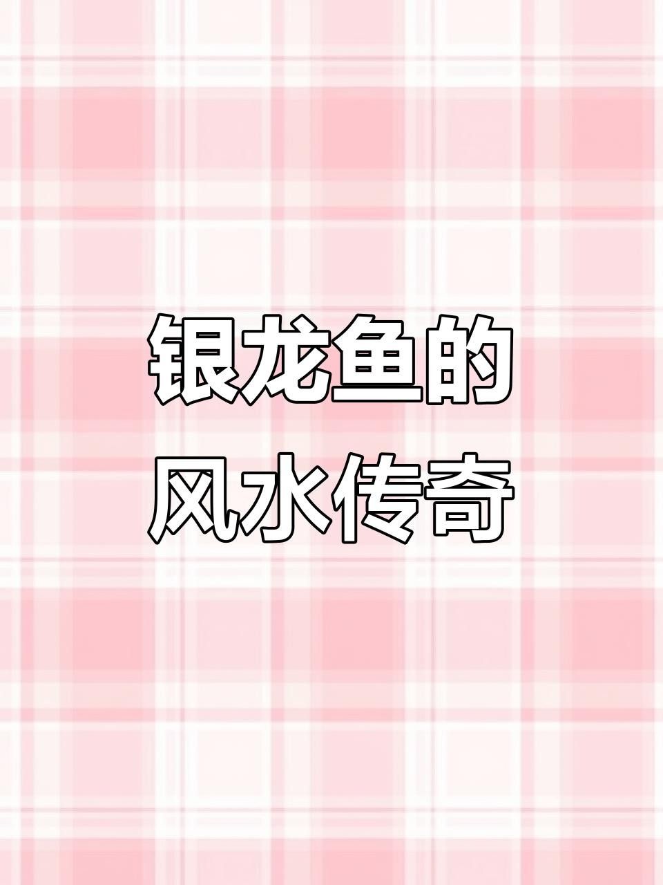 銀龍魚是那種魚的俗稱