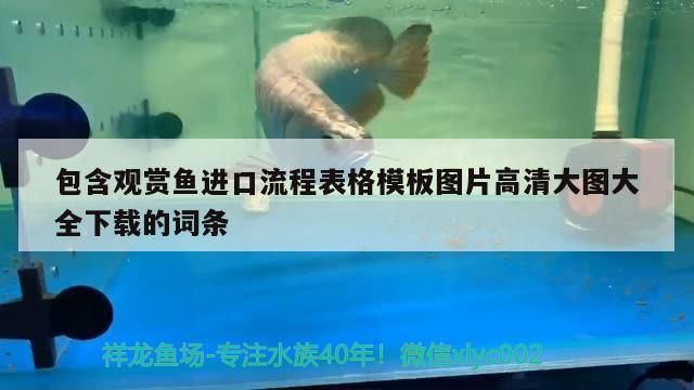 包含觀賞魚進口流程表格模板圖片高清大圖大全下載的詞條