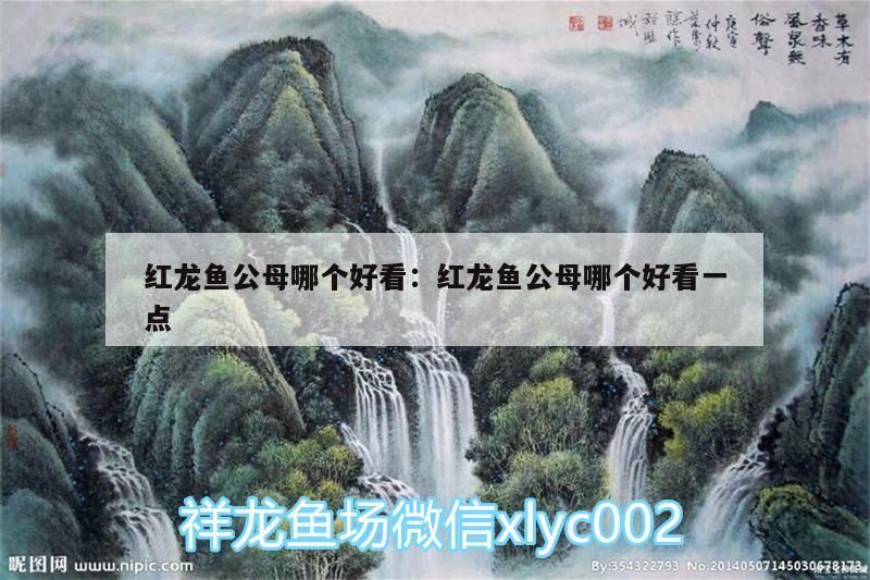 魚缸用增氧泵價格是多少:魚缸增氧機-xtrac增氧機-xtrac增氧機 紅龍魚公母哪個好看:紅龍魚公母哪個好看一點 觀賞魚百科 紅龍魚公母哪個好看:紅龍魚公母哪個好看一點 紅龍魚公母哪個好看:紅龍魚公母哪個好看一點 觀賞魚百科