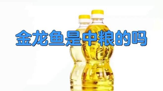 無錫金龍魚是中糧的嗎 無錫金龍魚是中糧的嗎 觀賞魚百科 第1張