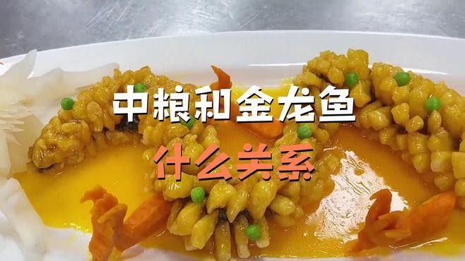 無錫金龍魚是中糧的嗎 無錫金龍魚是中糧的嗎 觀賞魚百科 第4張