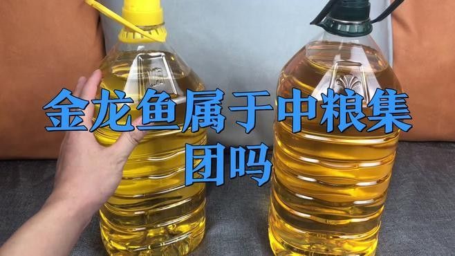 無錫金龍魚是中糧的嗎 無錫金龍魚是中糧的嗎 觀賞魚百科 第2張