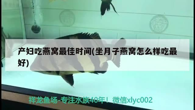 產婦吃燕窩最佳時間(坐月子燕窩怎么樣吃最好) 產婦吃燕窩最佳時間(坐月子燕窩怎么樣吃最好) 觀賞魚百科