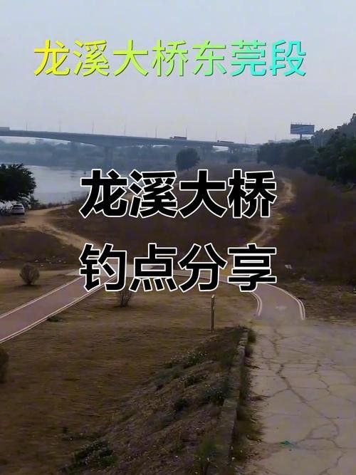 龍溪釣魚比較好的地方 龍溪釣魚比較好的地方 觀賞魚百科 第3張