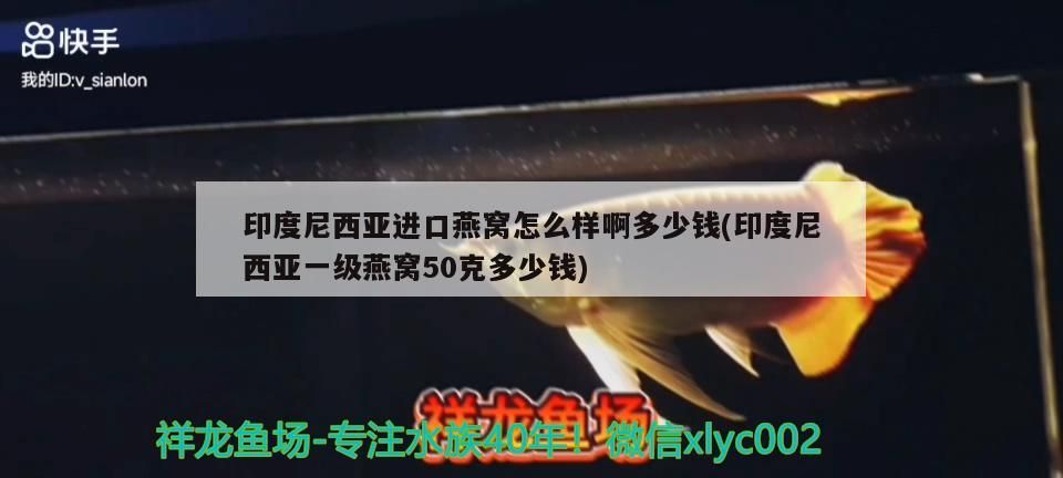 印度尼西亞進口燕窩怎么樣啊多少錢(印度尼西亞一級燕窩50克多少錢)