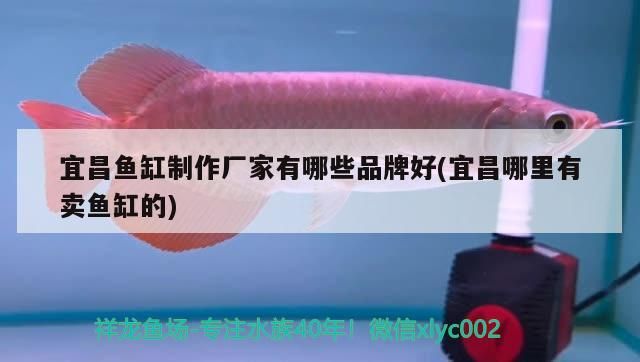 宜昌魚缸制作廠家有哪些品牌好(宜昌哪里有賣魚缸的)