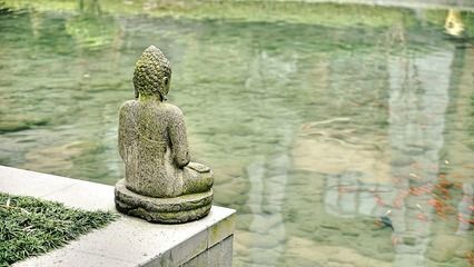 多寬的缸可以養龍魚：關于龍魚養殖的問題