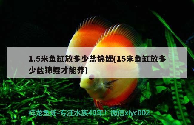 1.5米魚缸放多少鹽錦鯉(15米魚缸放多少鹽錦鯉才能養)