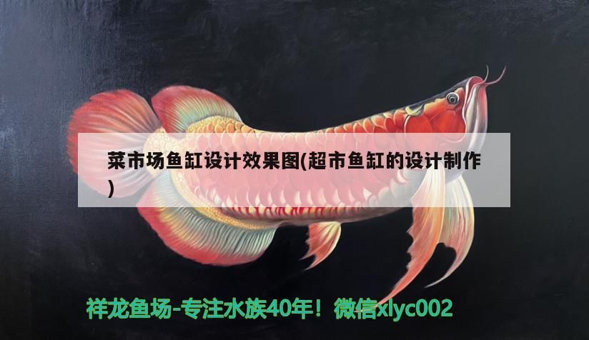 菜市場(chǎng)魚缸設(shè)計(jì)效果圖(超市魚缸的設(shè)計(jì)制作)