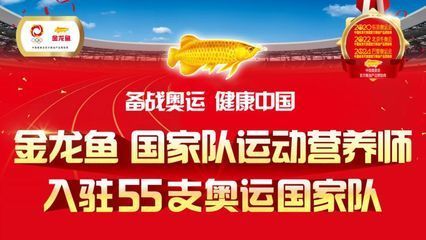 金龍魚多少錢一條（紅尾金龍魚多少錢一條）