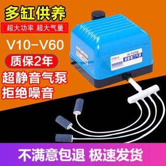 銀龍魚的壽命多長時間算正常（銀龍魚在人工飼養環境中的壽命會因為環境變化而有所不同嗎）
