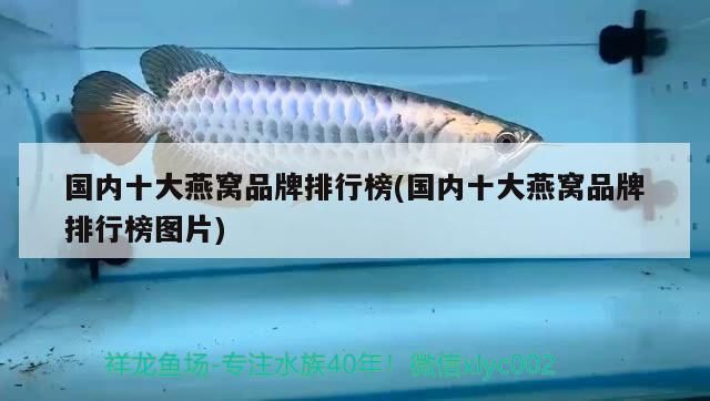 國內(nèi)十大燕窩品牌排行榜(國內(nèi)十大燕窩品牌排行榜圖片)