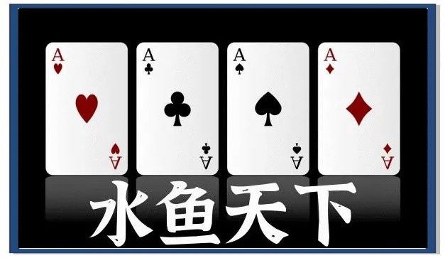 黔西南水魚