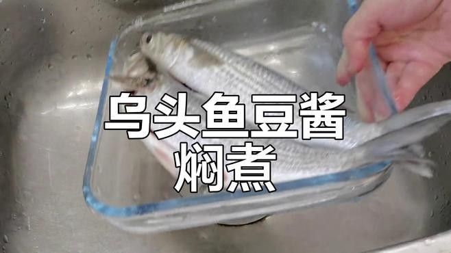 天元魚烏頭魚