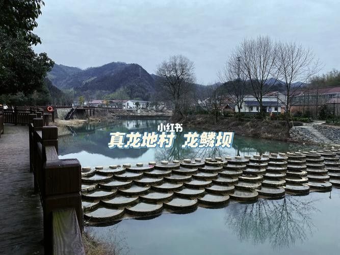 霍山真龍地景點 霍山真龍地景點 觀賞魚百科 第9張